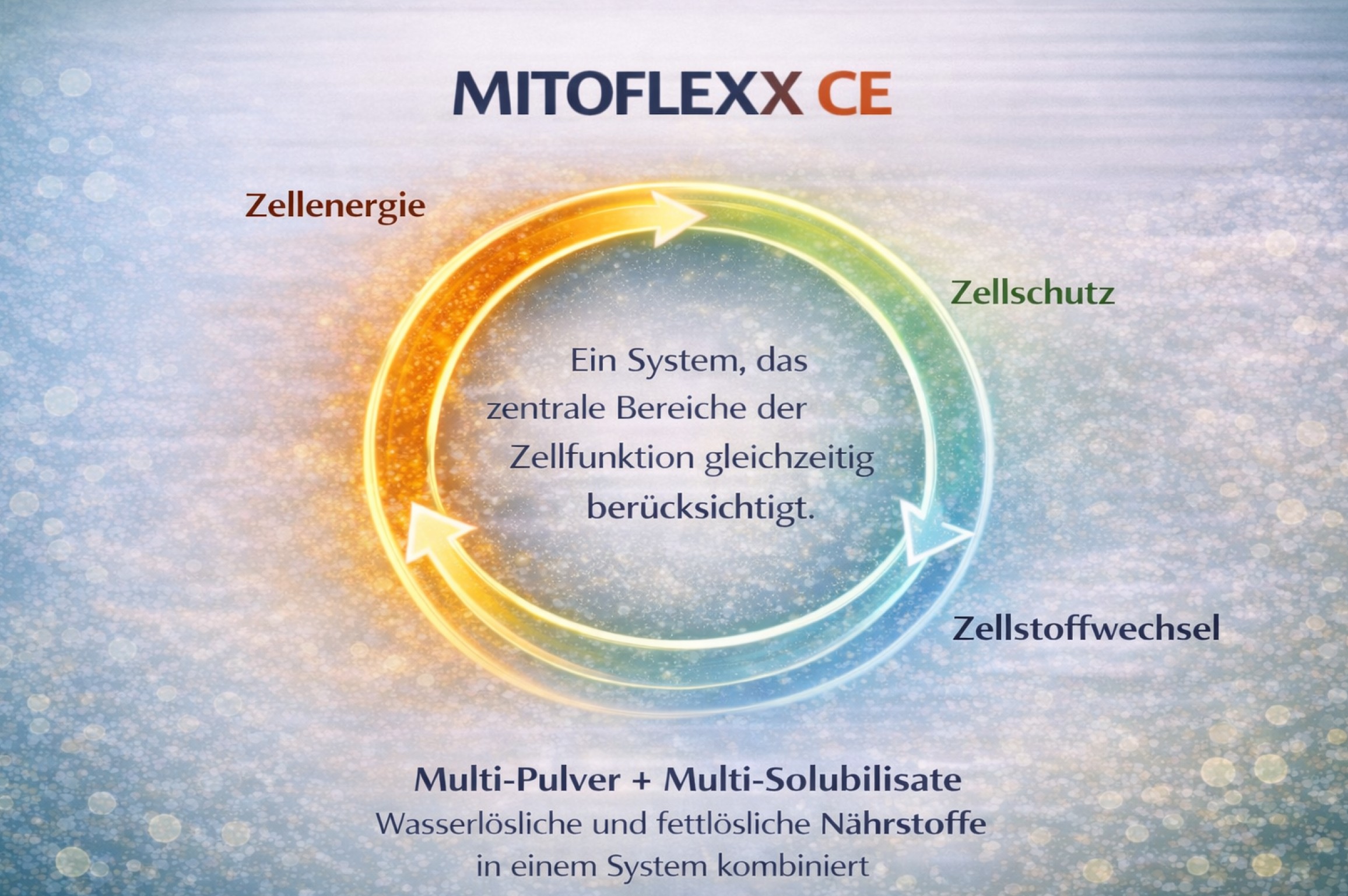 Fusion2Life MitoflexxCE Multisolubilisat Kombi