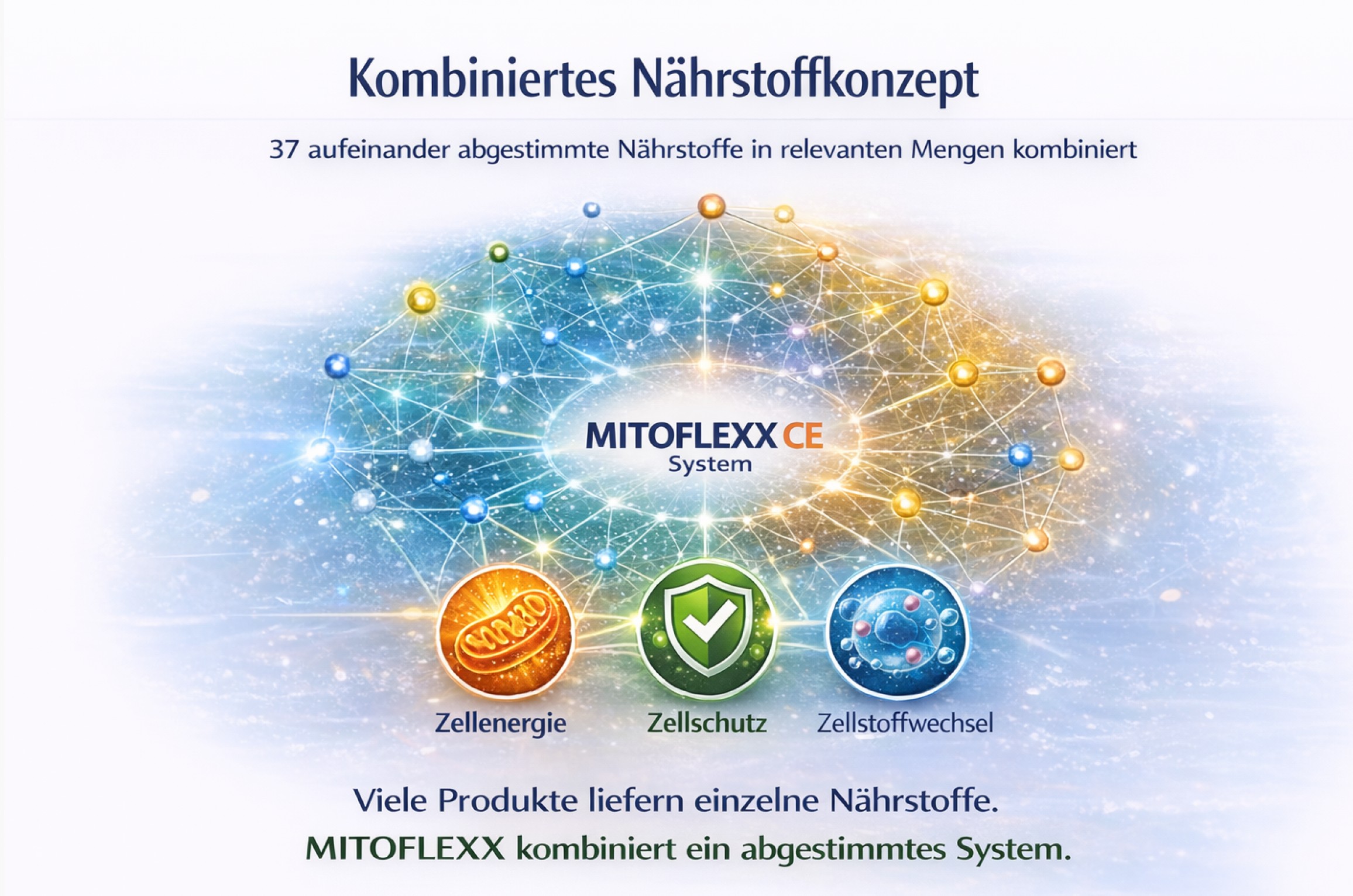 Fusion2Life MitoflexxCE Multisolubilisat Kombi